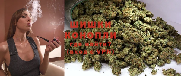 спиды Покачи