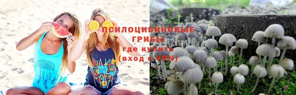 ешки Алексин
