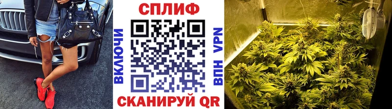 Марихуана планчик  Новопавловск 